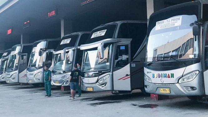 Bus PO Budiman