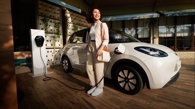 Wuling Binguo EV