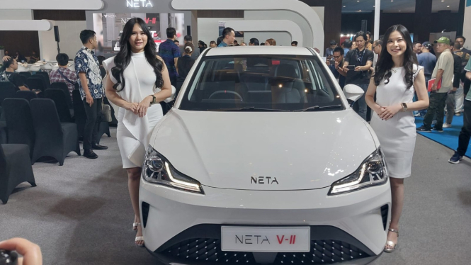 Neta V-II