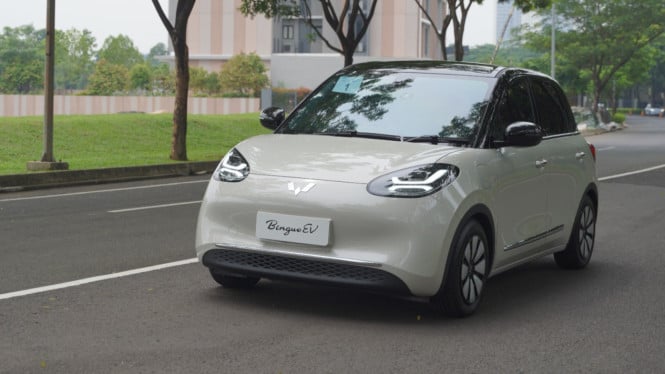 Wuling BinguoEV