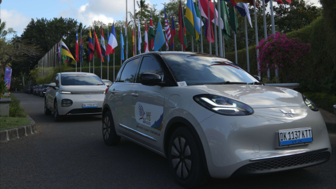 Wuling BinguoEV