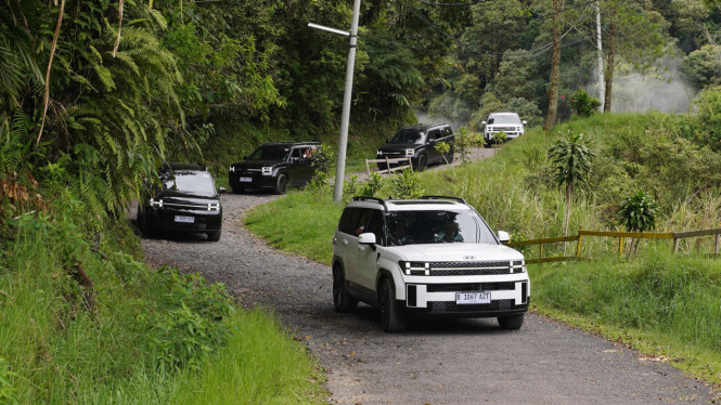 Test drive All New Hyundai Santa Fe