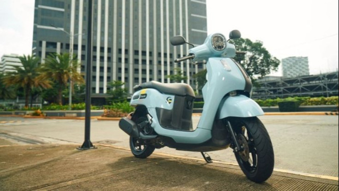 Fazzio Hybrid Series