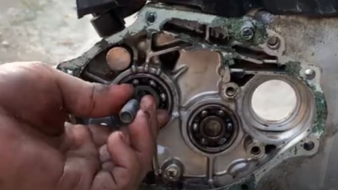 Melepas laher rasio beat