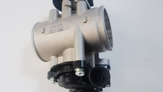 Throttle Body Motor