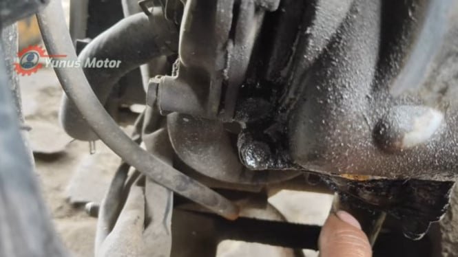 Oli Mesin Vario Netes