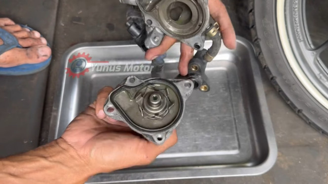 Ganti Seal Water Pump Vario