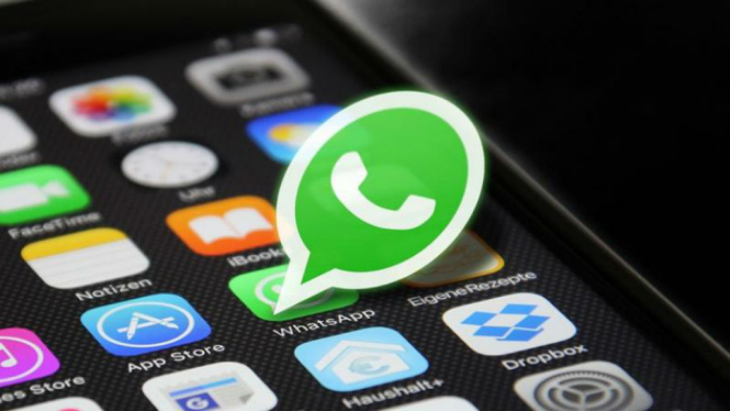 Sempat Down, Konten Porno Bisa di Akses Lewat Whatsapp