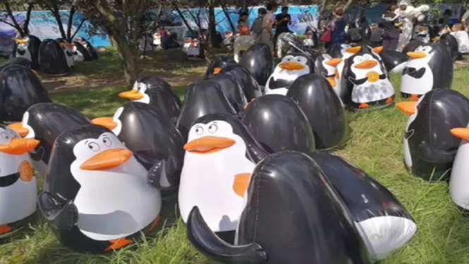 Ngaco Abis! Kebun Binatang Ini Hadirkan Pinguin Plastik Demi Tarik Pegunjung