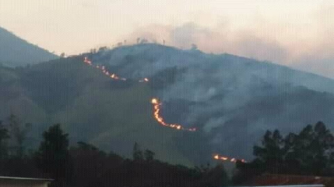 Kebakaran Hutan Gunung Lawu, Ratusan Pendaki Dievakuasi