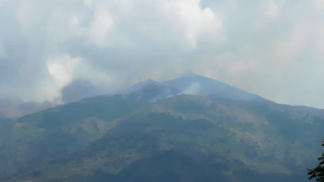 kebakaran hutan gunung Merbabu