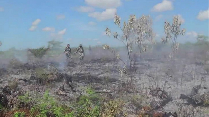 Waduh, Kota Meulaboh Tertutup Kabut Asap Tebal Kebakaran Lahan