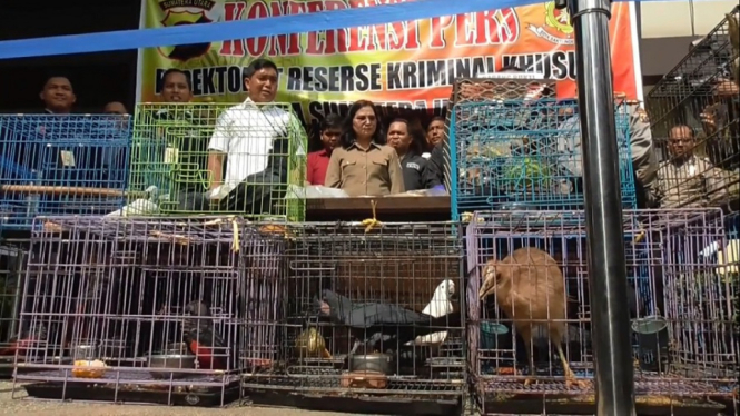 Perdagangan 16 burung langka ke luar negeri berhasil dibongkar oleh aparat Polda Sumatera Utara.
