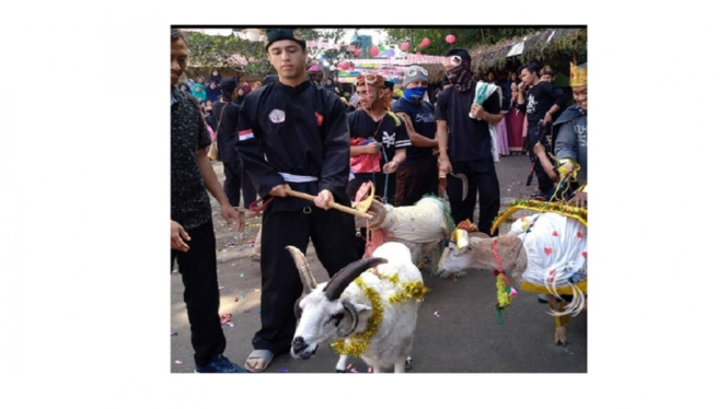 Ada Bule Asal Belgia Ikut Lomba Hias Domba di Sukabumi