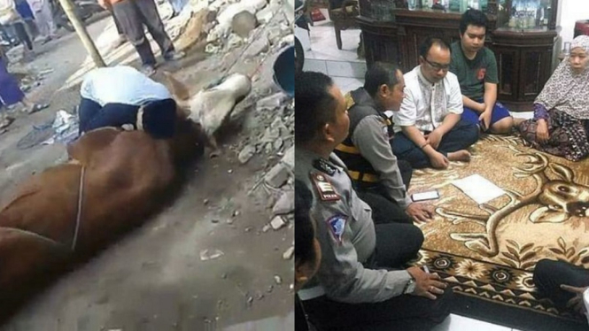 Tragis.. Petugas Jagal Hewan Kurban Meninggal Sesaat Sebelum Menyembelih