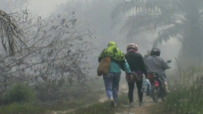 Kebakaran Hutan Lahan Semakin Mendekat, Warga Kampar Riau Tinggalkan Rumahnya