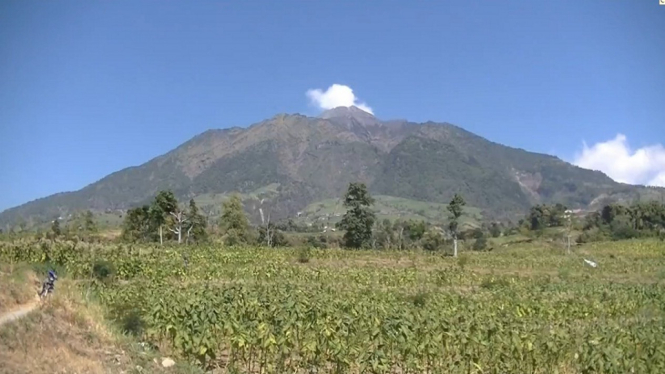 Gunung Merapi Kembali Semburkan Awan Panas Sejauh 1 Km