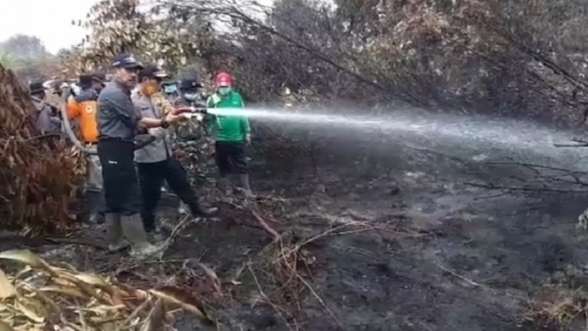 kebakaran hutan riau