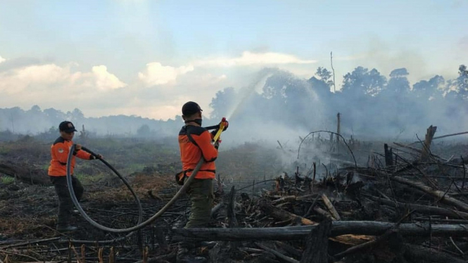 42 Perusahaan Disegel, 4 Dijadiakan Tersangka Kasus Kebakaran Hutan dan Lahan