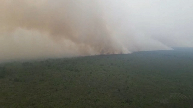 Hutan lindung Londerang  terbakar