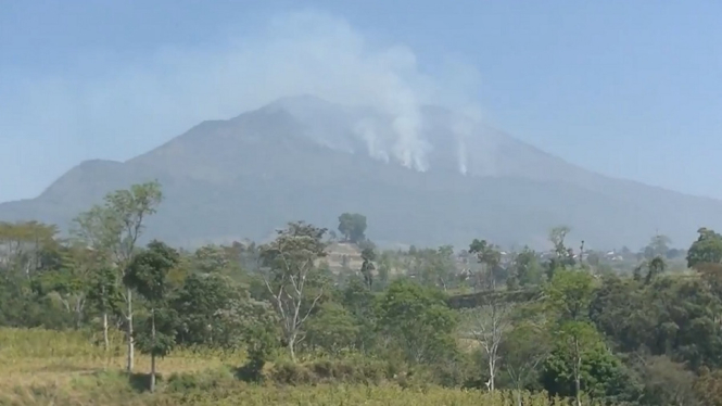 Gunung Merbabu Darurat Bencana Kebakaran!