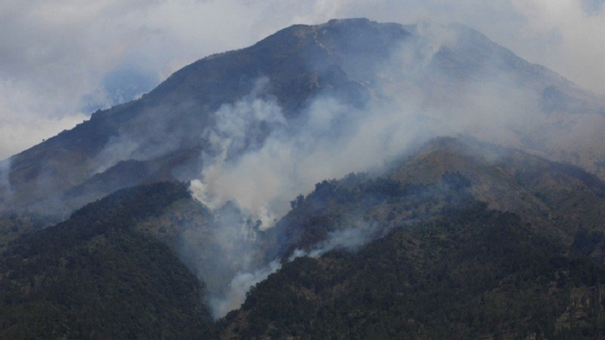 Pendaki panik terjebak api, puluhan hektar hutan Gunung Sumbing terbakar