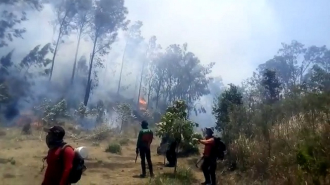 Sejumlah Hewan Terancam Punah di Gunung Welirang, Gegaranya?