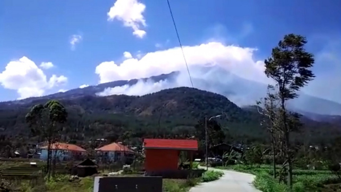 Hutan Gunung Welirang sengaja dibakar pemburu liar. Rusa Cervus Timorensis terancam!