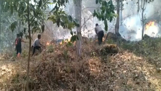 Belasan hektar lahan di Taman Nasional Gunung Ciremai, terbakar (Foto: ANTV/Erfan Septyawan)