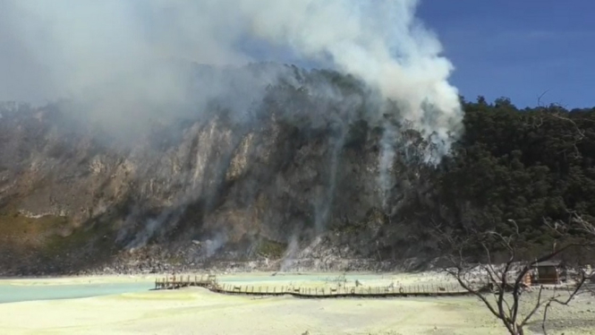 Hutan Wisata Kawah Putih Ciwidey di Bandung Masih Terbakar