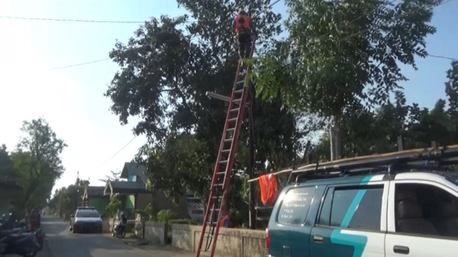 PLN Jombang: Asap Panas di Tanah Warga Gegara Instalasi Lampu Jalan Ilegal