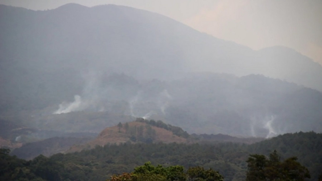 Kebakaran Hutan Gunung Ciremai Meluas dan Belum Dapat Dipadamkan