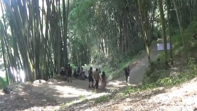 Wisata Hutan Bambu dan Sruput Kopi Asli Toraja