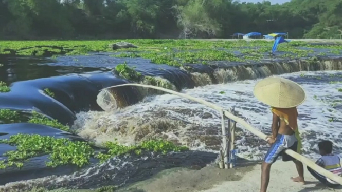 Diduga Tercemar, Sungai Bengawan Solo Berubah Warna Coklat Kehitaman
