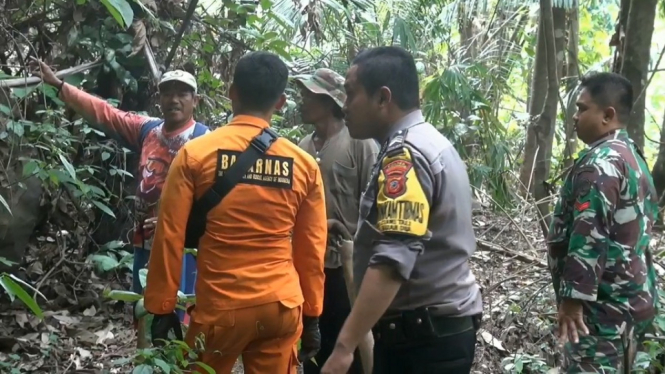 NENEK HILANG DIHUTAN