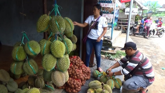 Wisata Petik Durian di Wonosalam, Jombang