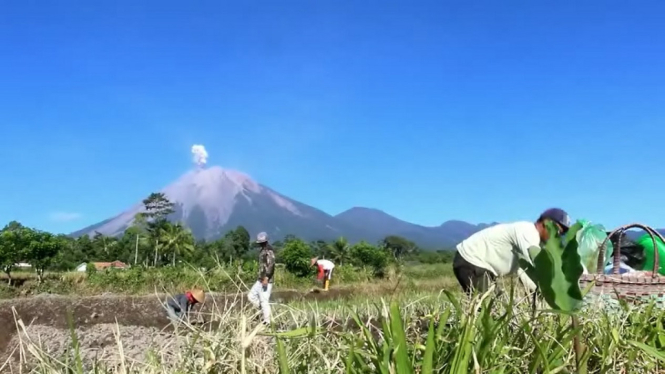Aktifitas Gunung Semeru Meningkat, BPBD Lumajang Imbau Warga Tetap Tenang