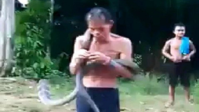 Akhir Tragis Pawang Ular yang Sempat Tertawa Usai Dipatok Kobra Berkali-Kali (Foto Tangkap Layar Video Instagram)