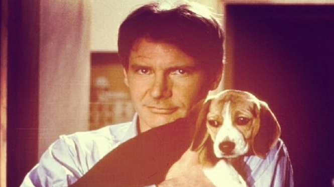 (Harrison Ford/ Foto: Instagram@harrisonford_official_page)