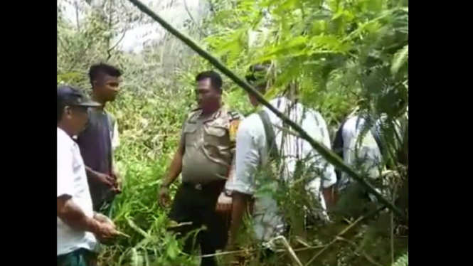 harimau masuk kampung 1