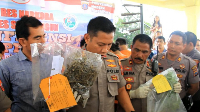 Dalam waktu sepekan, Polres Simalungun, Sumatera Utara, ungkap 12 kasus narkoba dan menangkap 38 tersangka. Dari para pelaku, 3 di antaranya wanita.