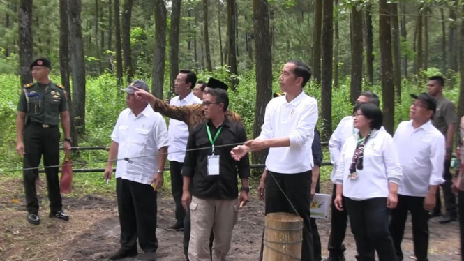 Jokowi Melepasliarkan Sepasang Elang Jawa di Gunung Merapi