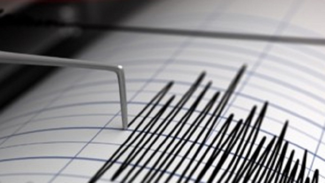 9 Orang Tewas Saat Turki Diguncang Gempa Bumi Bermagnitudo 5,7 (Foto Ilustrasi Seismograf Gempa)