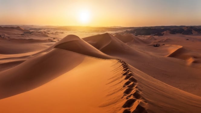 Gurun Sahara yang Subur Berubah Jadi Gersang dan Tandus, Apa yang Terjadi?