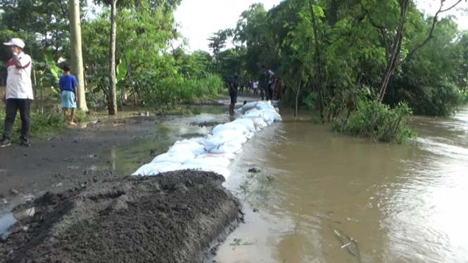 Kurangi Banjir, Warga Jombang Gotong Royong Pasang Tanggul Karung Pasir