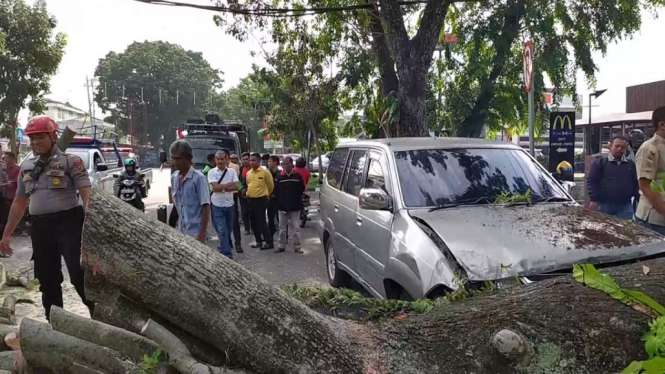 Pohon di Samping Rumah Dinas Wakil Walikota Padang Tumbang Timpa 2 Mobil