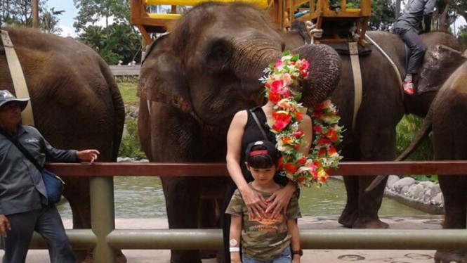 Wajah Tamara Bleszynski Tertutup Bunga Saat Berfoto dengan Gajah (Foto Instagram)