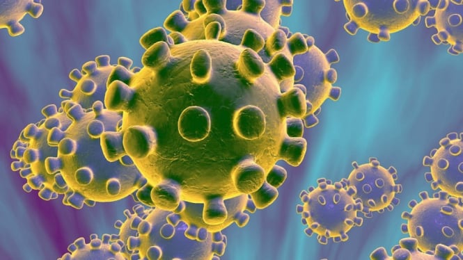 Begini Rasanya Terinfeksi Virus Corona, Kata Mantan Penderita   (Foto ilustrasi: Pinterest)