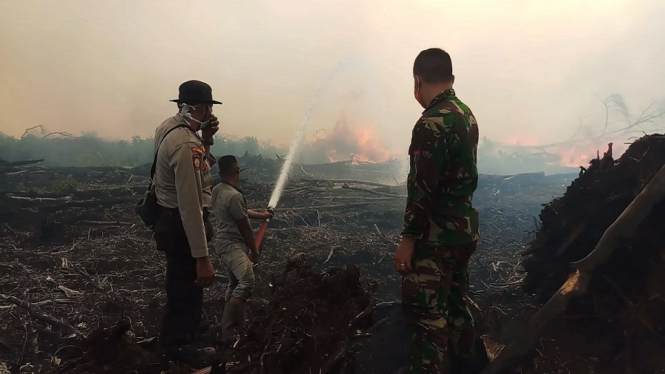 Puluhan Hektar Lahan Gambut di Aceh Jaya Ludes Dilalap Api
