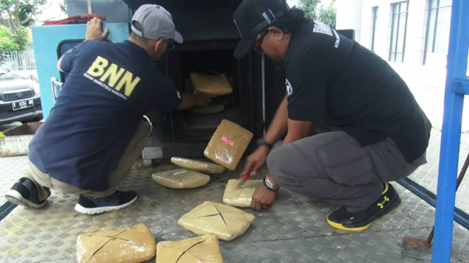 BNN Banten musnahkan barang bukti ganja seberat 100 kilogram. Pemusnahan barang bukti dilakukan setelah kasusnya memiliki ketetapan hukum.